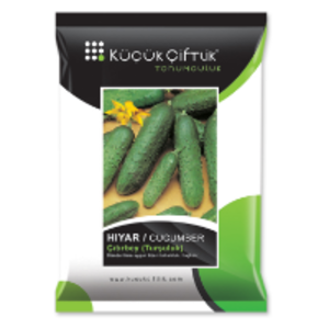 Cucumber by  Kucuk Ciftlik Tohumculuk Ltd.Sti. 