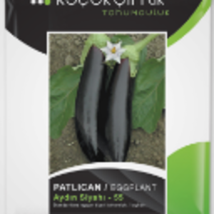 Eggplant by  Kucuk Ciftlik Tohumculuk Ltd.Sti. 