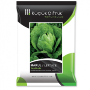 Lettuce by  Kucuk Ciftlik Tohumculuk Ltd.Sti. 