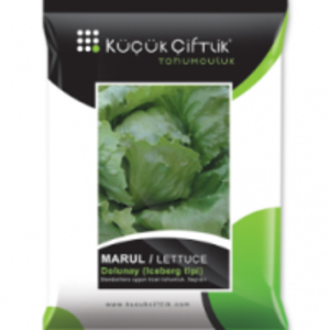 Lettuce by  Kucuk Ciftlik Tohumculuk Ltd.Sti. 