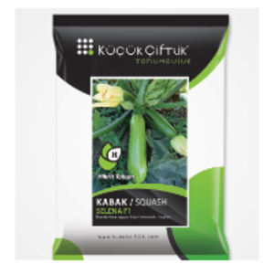 Pumpkin by  Kucuk Ciftlik Tohumculuk Ltd.Sti. 