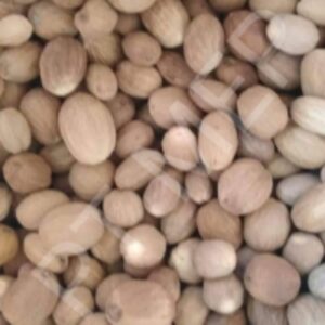 Whole Nutmeg Without Shell by  Manguni Esa Perkasa Ltd 