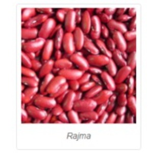 Rajma by  Kreeya Retails Pvt. Ltd. 