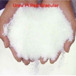 Urea N46% Nitrogen Granular by  Kingdom Wealth Trade LLC 
