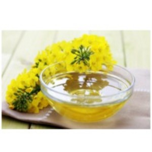 Canola Oil by  SBH Foods Pvt. Ltd. 
