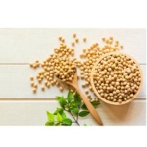 Soy Sauce Puree by SBH Foods Pvt. Ltd.