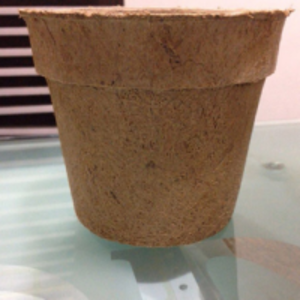 Coir Seed Germination Cup by  Global Green Coir Pith Products 