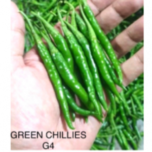 Green Chilli by  Zaria Industries Private Limited 