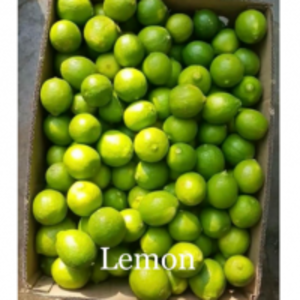 Lemon by  Zaria Industries Private Limited 