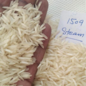 1509 Steam by  Zaria Industries Private Limited 