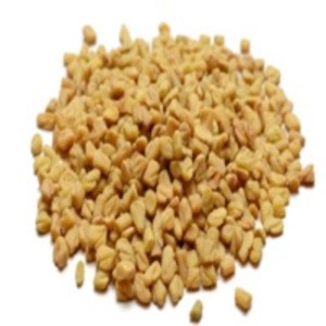 Fenugreek  by  Dugad Agro Foods Pvt. Ltd. 