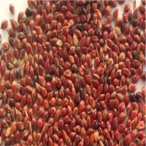 Cherry Millet by Dugad Agro Foods Pvt. Ltd.