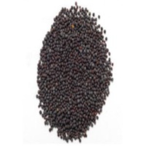 Mustard by  Dugad Agro Foods Pvt. Ltd. 