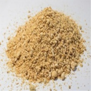 Soybean Meal by  Dugad Agro Foods Pvt. Ltd. 