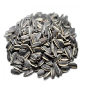 Sunflower Seeds by  Dugad Agro Foods Pvt. Ltd. 
