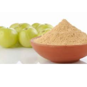 Amla Extract Powder by Myelin Healthcare