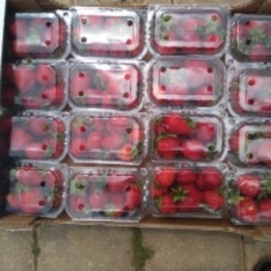 Strawberry by  Temo Co LLC 