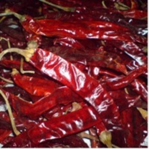 Wrinkle Dry Red Chili by  N23 International 