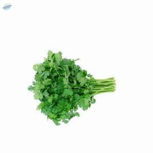 Fresh Vegetables by  Wealth Export And Import 