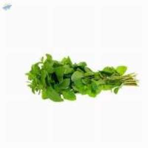 Fresh Vegetables - Image 3