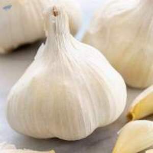 Fresh Vegetables - Image 4