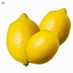 Fresh Vegetables by  Wealth Export And Import 