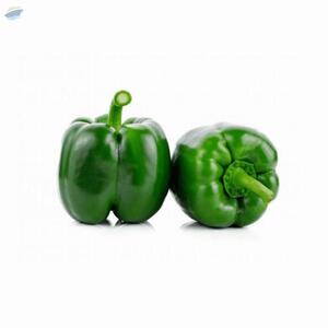 Fresh Vegetables by  Wealth Export And Import 