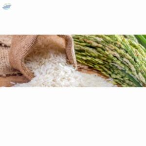 Ir 64 Raw Rice by  Wealth Export And Import 