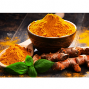 Turmeric Powder by  Topline Exports 