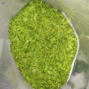 Coriander by  Power Herbs & Spices 