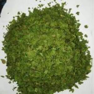 Coriander - Image 2