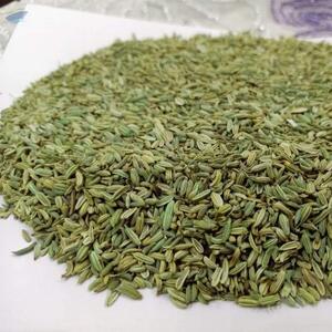 Fennel by  Power Herbs & Spices 