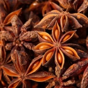 Whole Star Anise by  Expo Commodities (Vietnam) Company Limited 