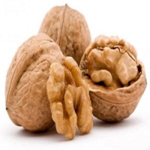 Walnut by  Mari Agricultural Products Wholesaling 
