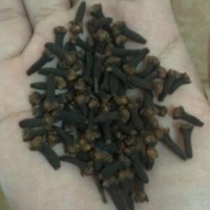 Cloves by  CV Usra Jaya International  