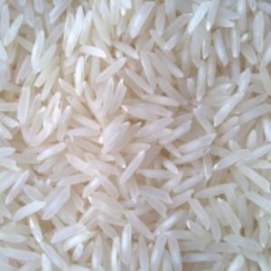 Traditional Basmati Rice by  Valtree Global Private Ltd 