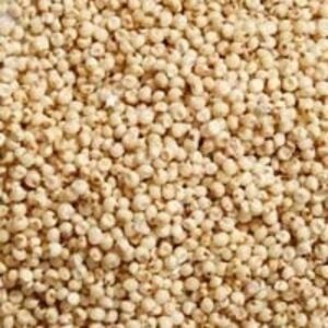 Jowar Or Sorghum