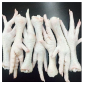 Chicken Feet by  Sri Rudhira Exports 