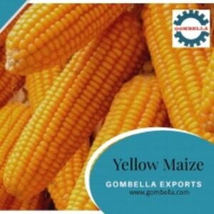 resources of Yellow Maize exporters