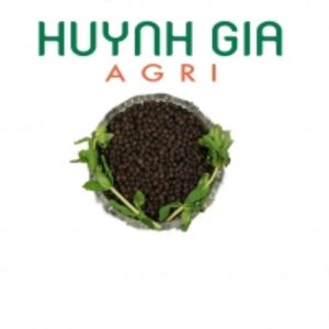  Black Pepper Whole 550Gl  by  Huynh Gia Agriculture Joint Stock Company 