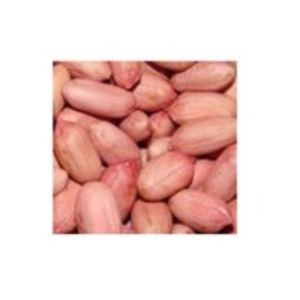 Groundnut Kernels by  Khunda International 