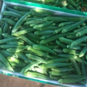 Fresh Vegetables by Phetoho Traders LLP