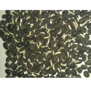 Lablab Beans by  Rockstar Distributors 