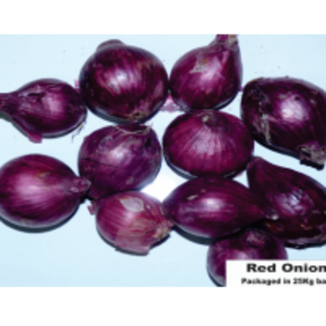 Red Onion by Rockstar Distributors