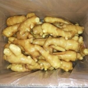 Quality Fresh Ginger by  Pyramid Trade And Logistics 