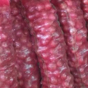 Onions by  Buddy Overseas 