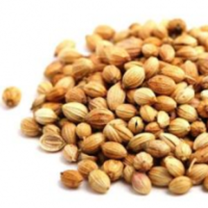 Coriander by  Minsa Creation Pvt. Ltd. 