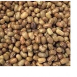 Turkish Gram by  Minsa Creation Pvt. Ltd. 