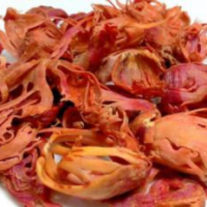 Mace by  Minsa Creation Pvt. Ltd. 