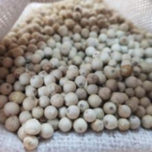 White Pepper by  Minsa Creation Pvt. Ltd. 